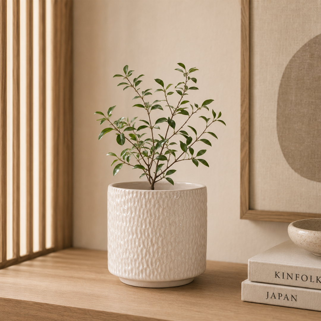 Vaso Cachepot com Base Cerâmica Bege 23cm